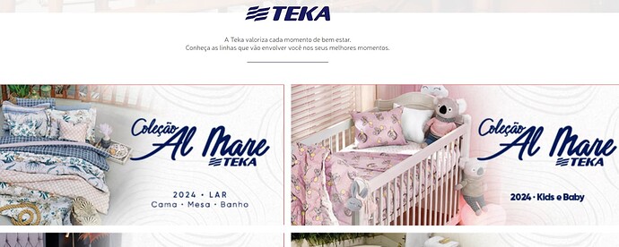 Página inicial do site da Teka