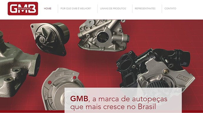 Site da empresa GMB